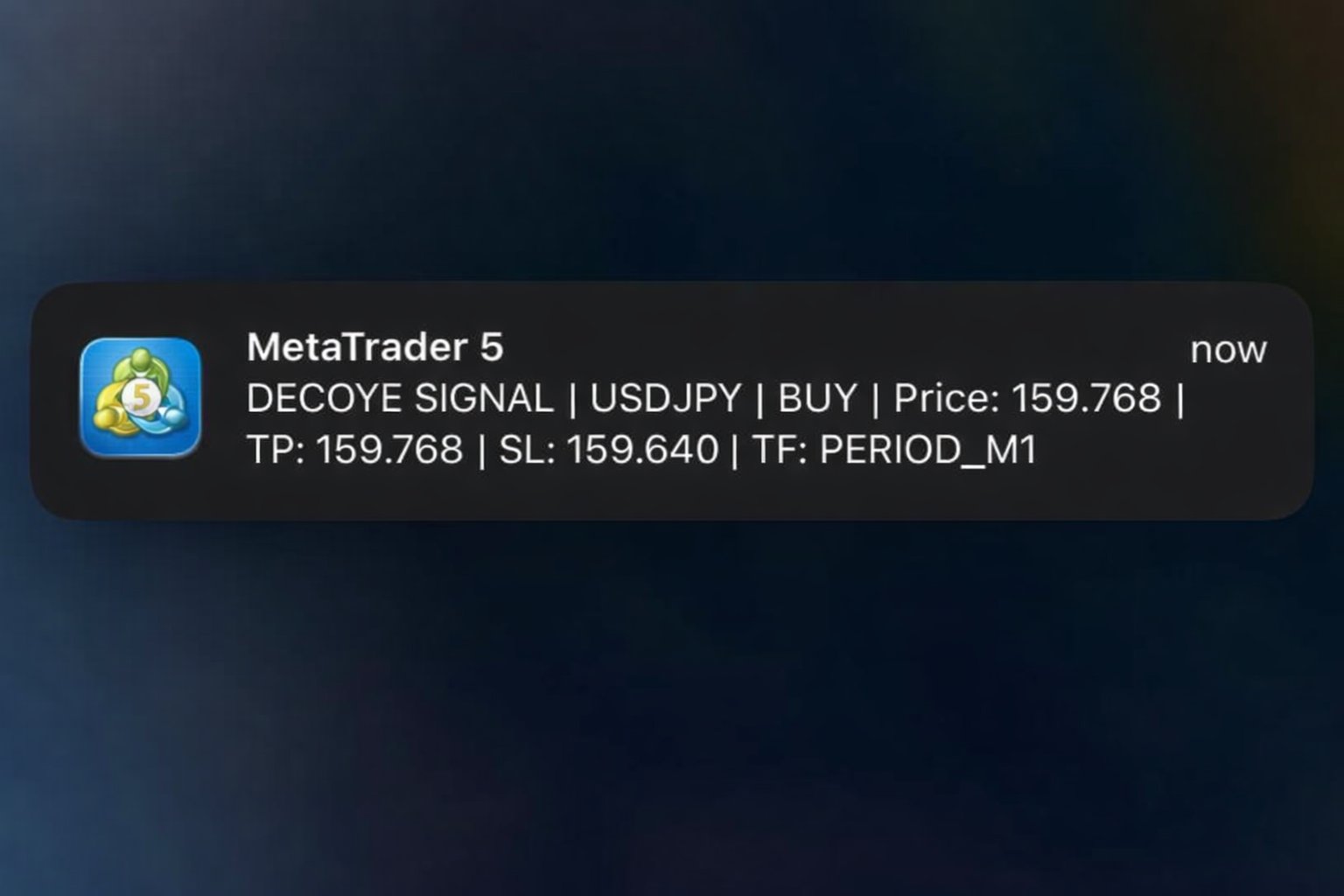 DECOYE on MetaTrader 5